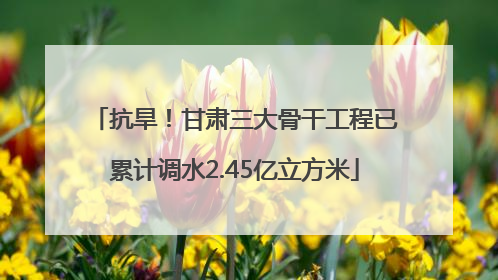 抗旱！甘肃三大骨干工程已累计调水2.45亿立方米