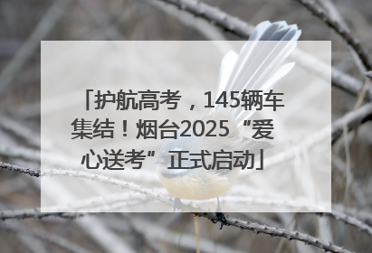 护航高考，145辆车集结！烟台2025“爱心送考”正式启动