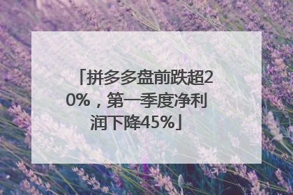 拼多多盘前跌超20%，第一季度净利润下降45%