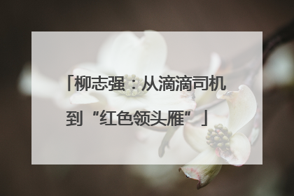 柳志强：从滴滴司机到“红色领头雁”