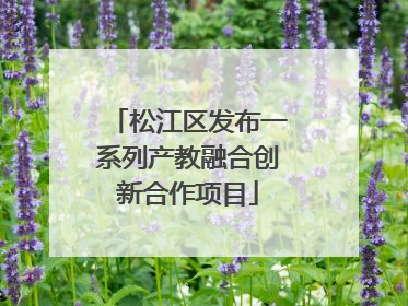 松江区发布一系列产教融合创新合作项目