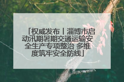 权威发布丨淄博市启动汛期暑期交通运输安全生产专项整治 多维度筑牢安全防线