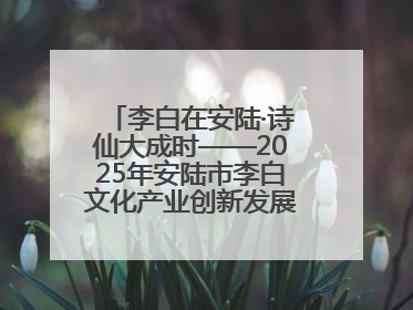 李白在安陆·诗仙大成时——2025年安陆市李白文化产业创新发展暨李白文化旅游暑期消费季活动在武汉启幕
