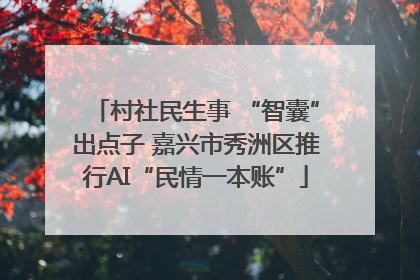 村社民生事 “智囊”出点子 嘉兴市秀洲区推行AI“民情一本账”