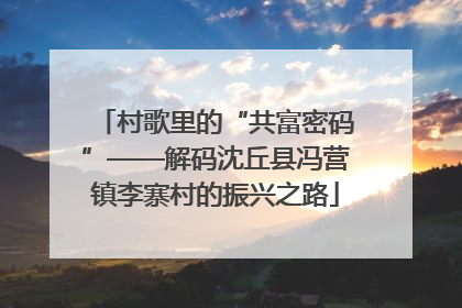 村歌里的“共富密码”——解码沈丘县冯营镇李寨村的振兴之路