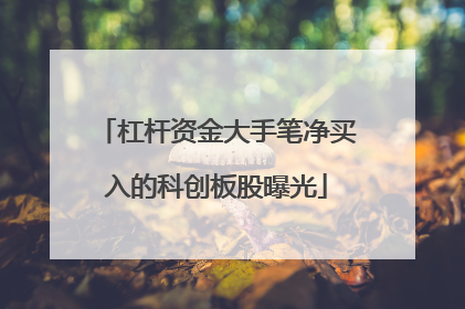 杠杆资金大手笔净买入的科创板股曝光