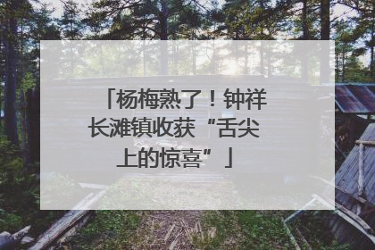 杨梅熟了！钟祥长滩镇收获“舌尖上的惊喜”