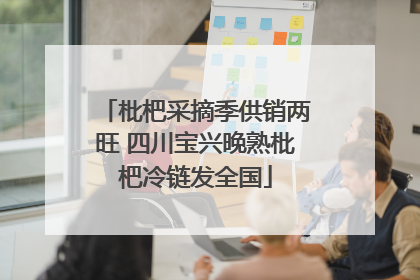 枇杷采摘季供销两旺 四川宝兴晚熟枇杷冷链发全国