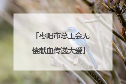 枣阳市总工会无偿献血传递大爱