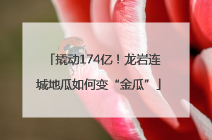 撬动174亿！龙岩连城地瓜如何变“金瓜”