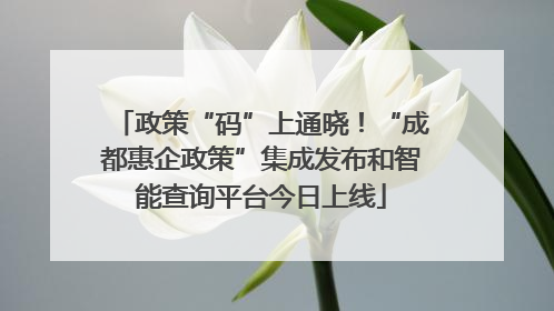 政策“码”上通晓！“成都惠企政策”集成发布和智能查询平台今日上线