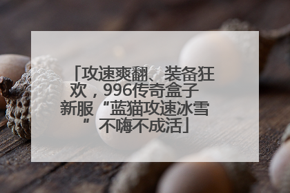 攻速爽翻、装备狂欢，996传奇盒子新服“蓝猫攻速冰雪”不嗨不成活