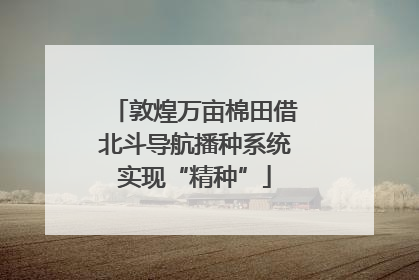 敦煌万亩棉田借北斗导航播种系统实现“精种”
