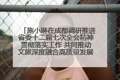 施小琳在成都调研推进省委十二届七次全会精神贯彻落实工作 共同推动文旅深度融合高质量发展 加快打造支柱产业民生产业幸福产业