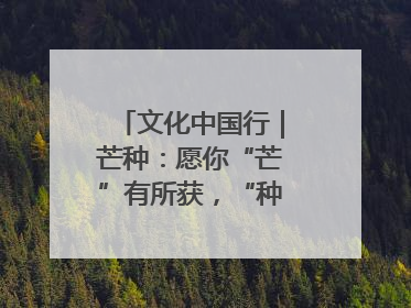 文化中国行｜芒种：愿你“芒”有所获，“种”有所得