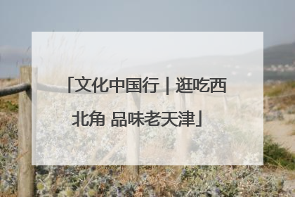 文化中国行｜逛吃西北角 品味老天津