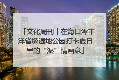 文化周刊丨在海口潭丰洋省级湿地公园打卡夏日里的“湿”情画意