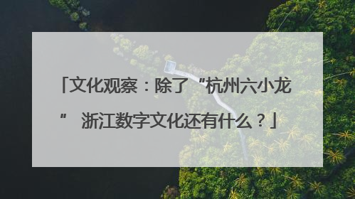 文化观察：除了“杭州六小龙” 浙江数字文化还有什么？