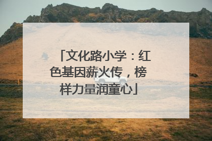 文化路小学：红色基因薪火传，榜样力量润童心