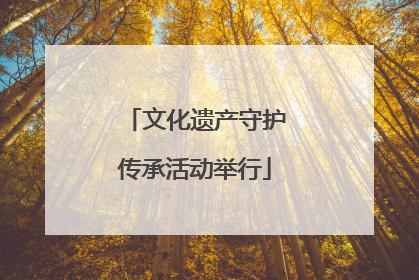 文化遗产守护传承活动举行
