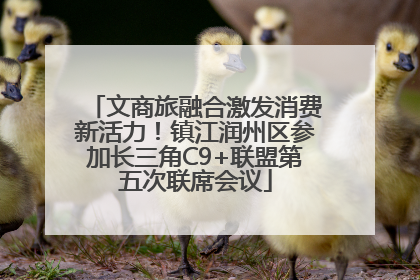 文商旅融合激发消费新活力！镇江润州区参加长三角C9+联盟第五次联席会议