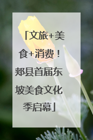 文旅+美食+消费！郏县首届东坡美食文化季启幕