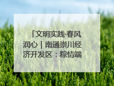 文明实践·春风润心｜南通崇川经济开发区：粽情端午，童趣传承