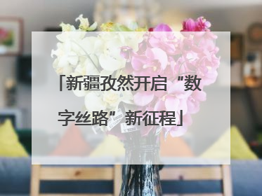 新疆孜然开启“数字丝路”新征程