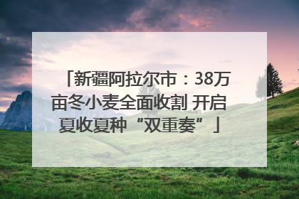 新疆阿拉尔市：38万亩冬小麦全面收割 开启夏收夏种“双重奏”