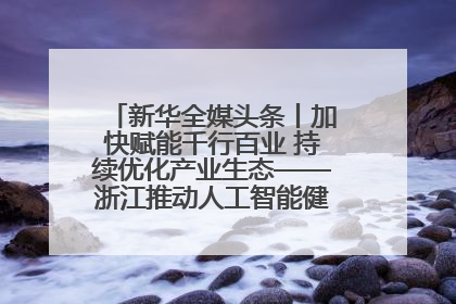 新华全媒头条丨加快赋能千行百业 持续优化产业生态——浙江推动人工智能健康有序发展观察