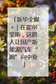 新华全媒+｜在霍尔果斯，这群人让国产新能源汽车“跑”向中亚