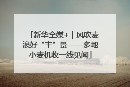 新华全媒+｜风吹麦浪好“丰”景——多地小麦机收一线见闻