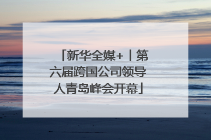 新华全媒+丨第六届跨国公司领导人青岛峰会开幕