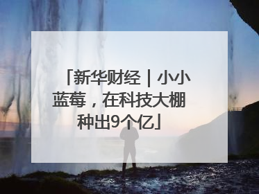 新华财经｜小小蓝莓，在科技大棚种出9个亿