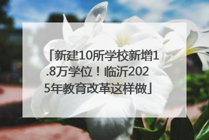 新建10所学校新增1.8万学位！临沂2025年教育改革这样做