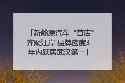 新能源汽车“首店”齐聚江岸 品牌密度3年内跃居武汉第一