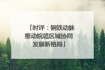时评：钢铁动脉推动皖赣区域协同发展新格局