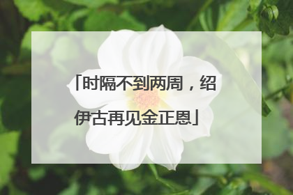 时隔不到两周，绍伊古再见金正恩