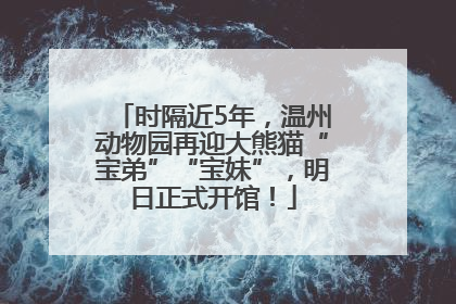 时隔近5年，温州动物园再迎大熊猫“宝弟”“宝妹”，明日正式开馆！