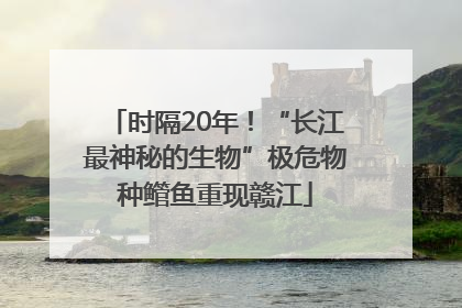 时隔20年！“长江最神秘的生物”极危物种鳤鱼重现赣江