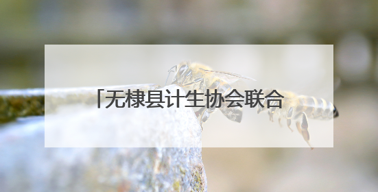 无棣县计生协会联合佘家镇举办新型婚育文化宣传服务活动