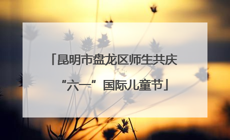 昆明市盘龙区师生共庆“六一”国际儿童节