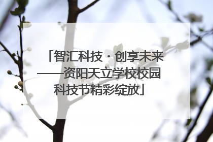 智汇科技・创享未来——资阳天立学校校园科技节精彩绽放