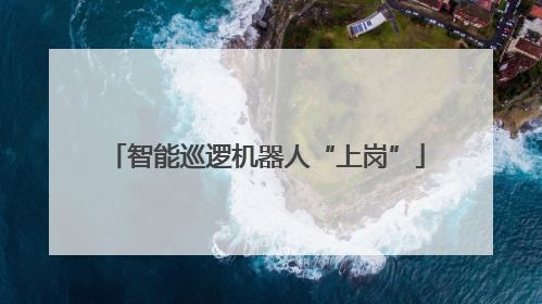 智能巡逻机器人“上岗”