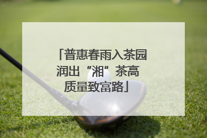 普惠春雨入茶园 润出“湘”茶高质量致富路