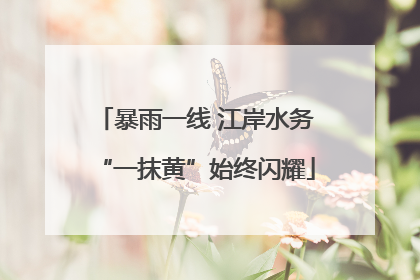 暴雨一线 江岸水务“一抹黄”始终闪耀