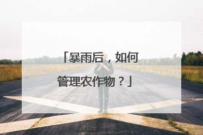 暴雨后，如何管理农作物？