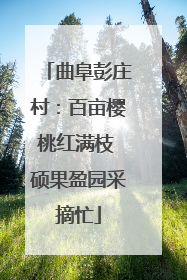 曲阜彭庄村：百亩樱桃红满枝 硕果盈园采摘忙