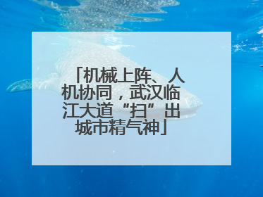 机械上阵、人机协同，武汉临江大道“扫”出城市精气神