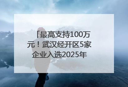 最高支持100万元！武汉经开区5家企业入选2025年度武汉市重点研发计划拟立项项目名单